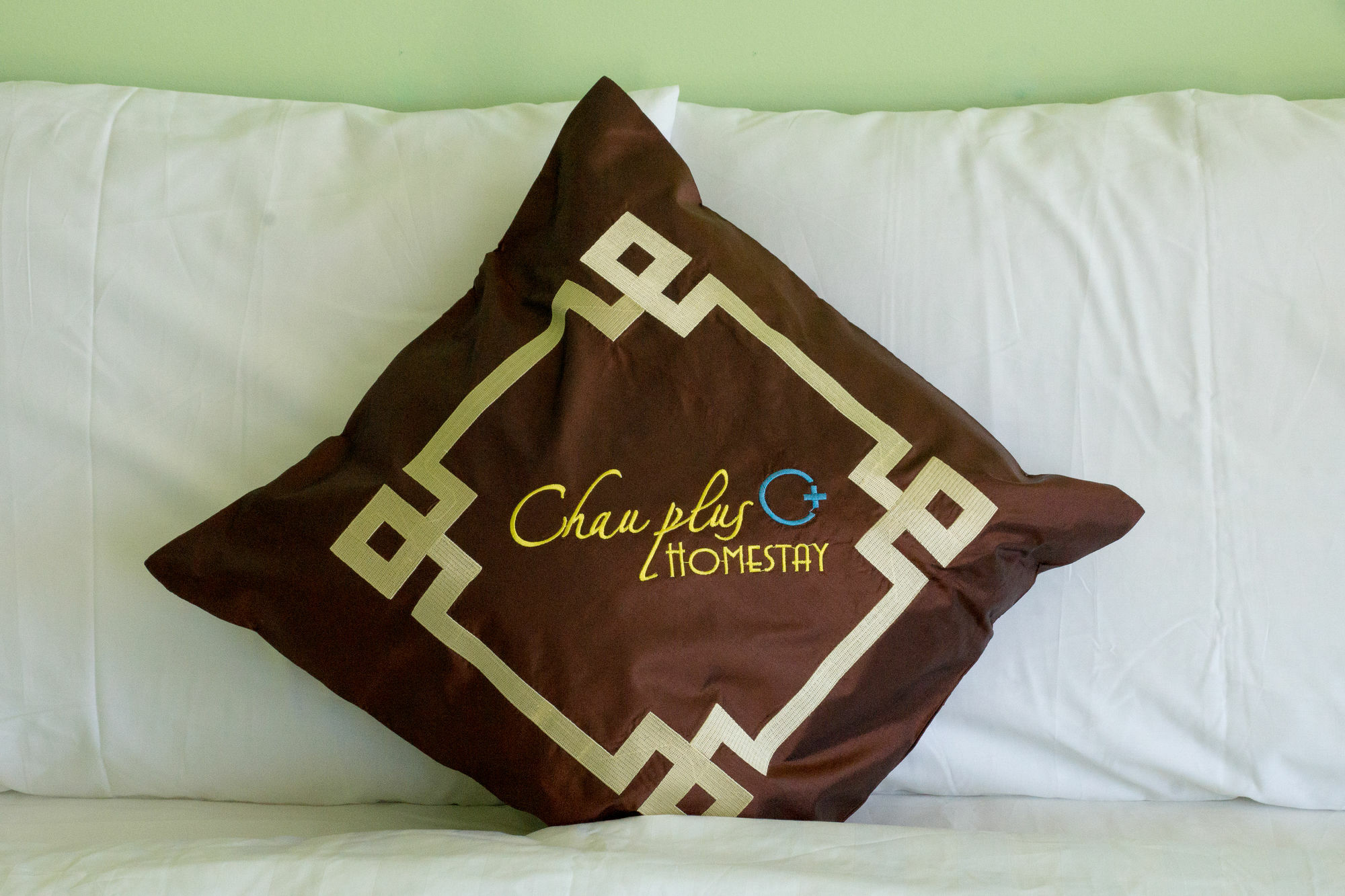 Chau Plus Homestay Хойан Экстерьер фото